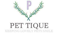PET TIQUE (Lifestyle / Retail)